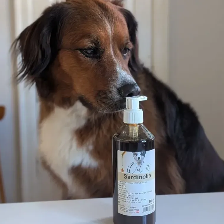 Helse Til Hunde|Fodertilskud^Oil'it Sardinolie | 500g