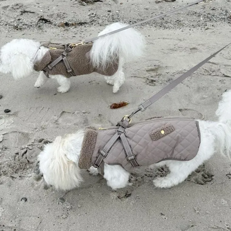 ❄️Klar Til Vintervejret|Efterårsklar^Ollipet Aarhus Hundejakke