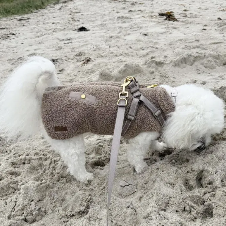❄️Klar Til Vintervejret|Efterårsklar^Ollipet Aarhus Hundejakke