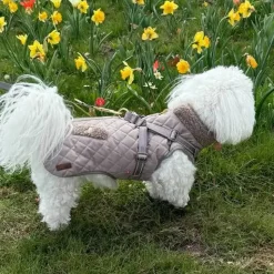❄️Klar Til Vintervejret|Efterårsklar^Ollipet Aarhus Hundejakke