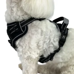 Hundeseler^Ollipet Adventure Hundesele str. XL, OUTLET Sort