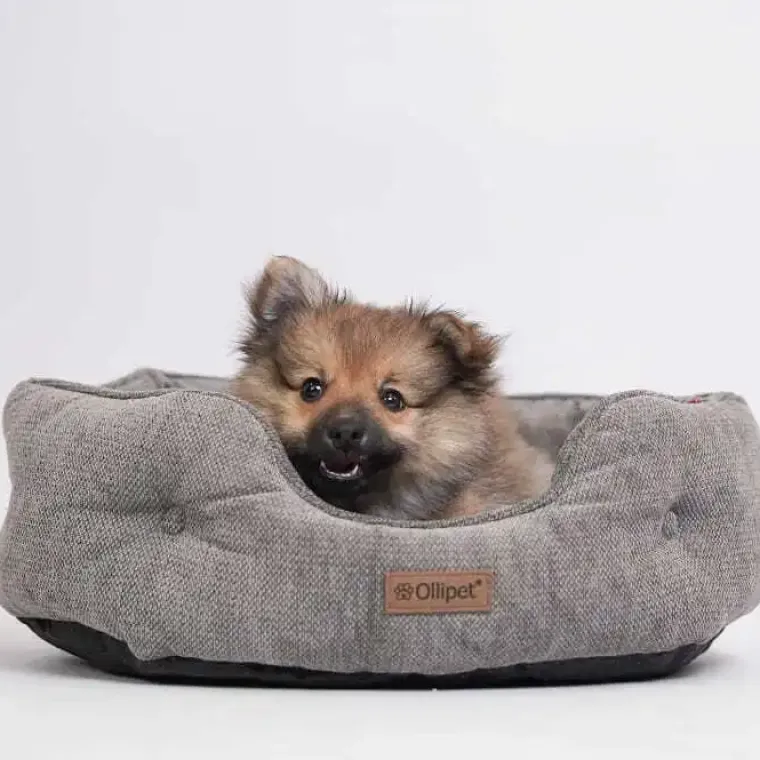 Hundesenge^Ollipet Alex Cocoon hundekurv