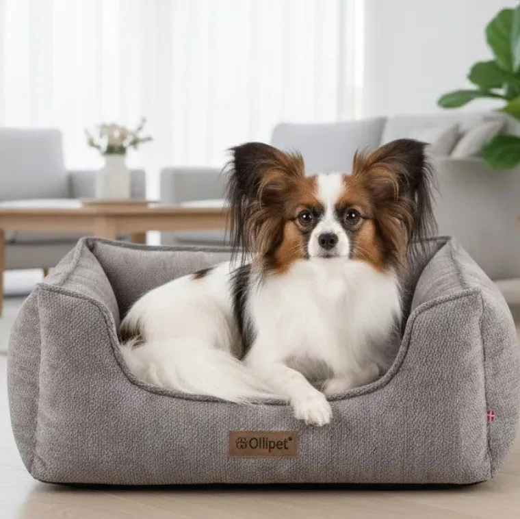 Hundesenge^Ollipet Alex Lounge hundekurv