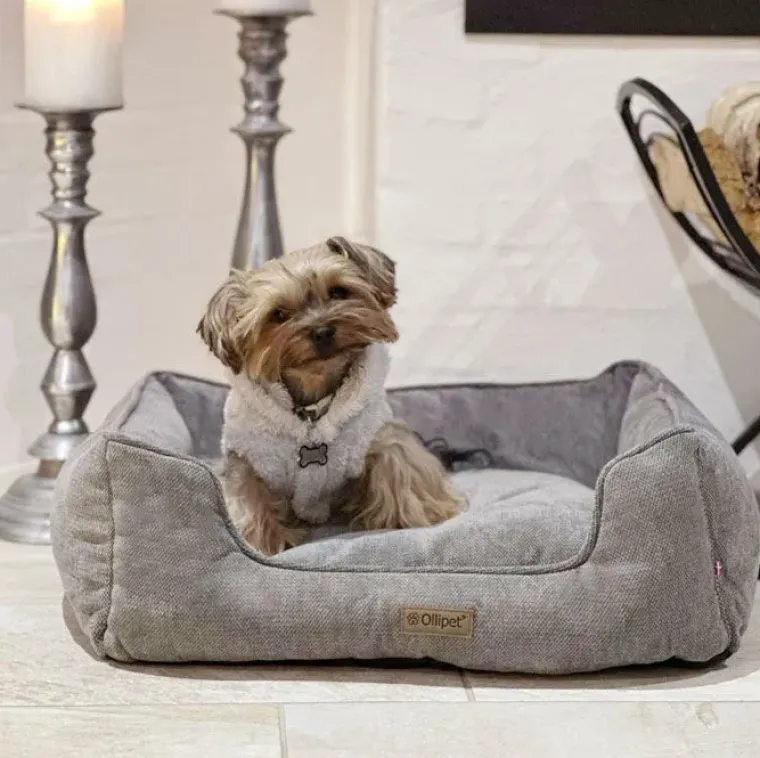 Hundesenge^Ollipet Alex Lounge hundekurv