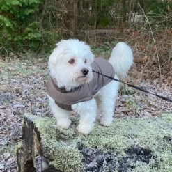 Julekurven|Efterårsklar^Ollipet Alpine Explorer Hundejakke