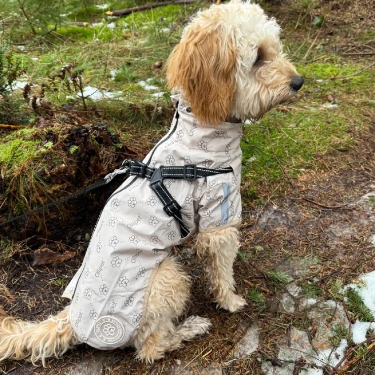 ❄️Klar Til Vintervejret|Hundetøj^Ollipet Aqua Explorer De LuxeRegnjakke | Med Sele