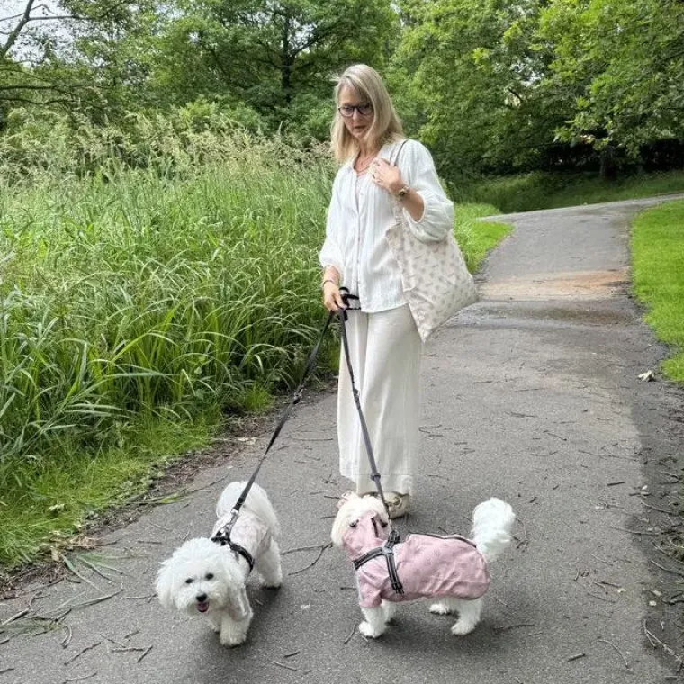 Gaveidéer Til Hundeelskeren|Hundeferien^Ollipet Aqua Explorer De Luxe | Shopping Net