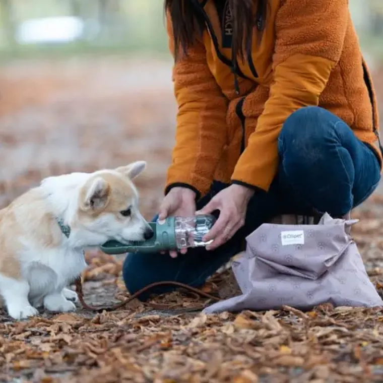 Gaveidéer Til Hundeelskeren|Hundeferien^Ollipet Aqua Explorer De Luxe | Shopping Net