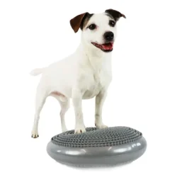 Ollipet Hundelegetøj|Hundetræning Og Klikker^Ollipet Balancepude