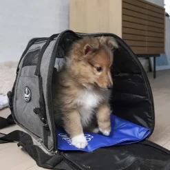 Hundetaske|Transporttasker Til Hunde^Ollipet Barcelona Rejsetaske