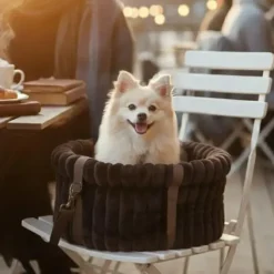 Hundetaske|Transporttasker Til Hunde^Ollipet Bella Bloom 3i1 bæretaske