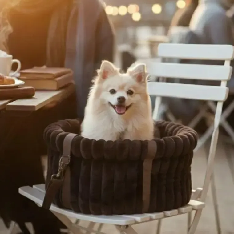 Hundetaske|Transporttasker Til Hunde^Ollipet Bella Bloom 3i1 bæretaske