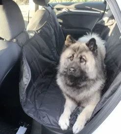 Biltransport Af Hund^Ollipet Bilsædebeskytter