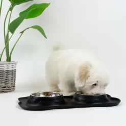 Hvalpe Accessories^Ollipet Bone Bowls Hundeskåle