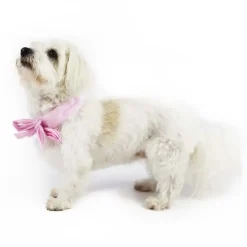☀️Sommerklar|Hundeferien^Ollipet Butterfly Cooling Bandana