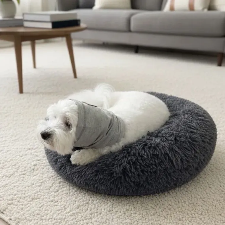 Helse Til Hunde|Nytårskurven^Ollipet Calm Hoodie