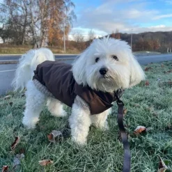 ❄️Klar Til Vintervejret|Efterårsklar^Ollipet Camel Sweater