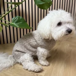 ❄️Klar Til Vintervejret|Efterårsklar^Ollipet Camel Sweater