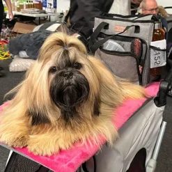 Pelsplejeredskaber|Groomingtasker^Ollipet Champ Groomingtaske