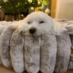 Hundesenge^Ollipet Chinchilla Donutseng