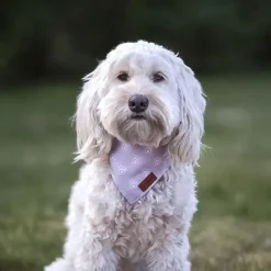 Hundetøj^Ollipet City Lux Bandana | Olli Paws | OUTLET
