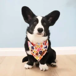 Ollipet City Lux|Hundetøj^Ollipet City Lux Bandana | Sweet Flowers | OUTLET