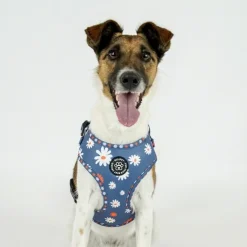Hundeseler|Ollipet City Lux^Ollipet City Lux Hundesele | Blue Marguerites | OUTLET