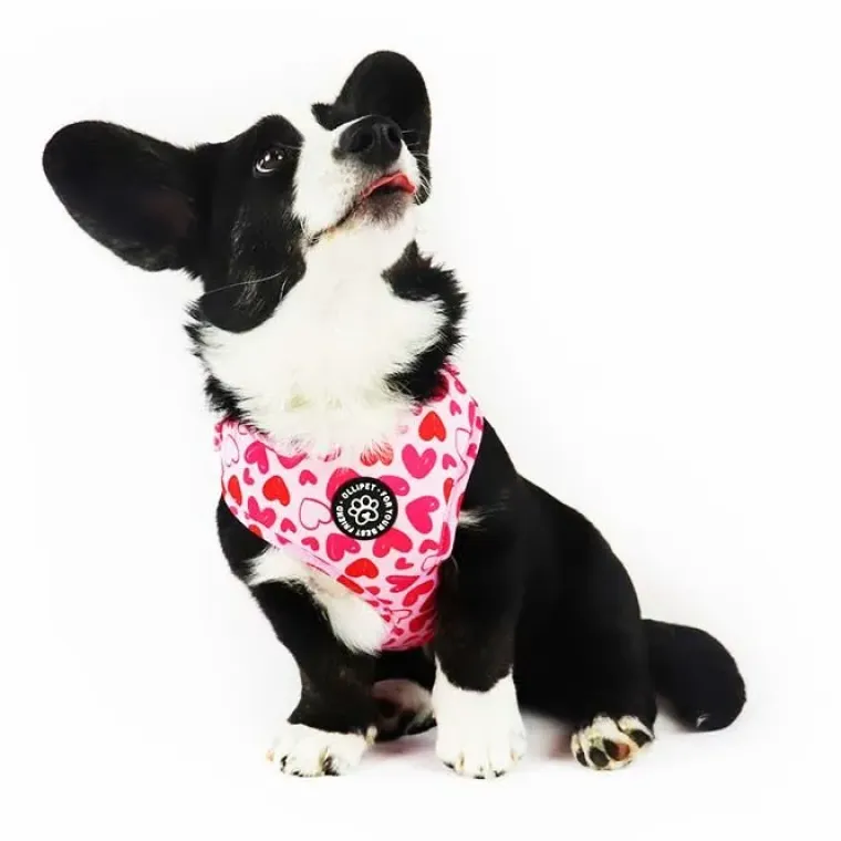 Hundeseler|Ollipet City Lux^Ollipet City Lux Hundesele | Hearts Of Love | OUTLET