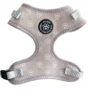 Hundeseler|Ollipet City Lux^Ollipet City Lux Hundesele | Olli Paws/Dots | OUTLET