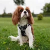 Hundeseler|Ollipet City Lux^Ollipet City Lux Step-in sele | Margueritter