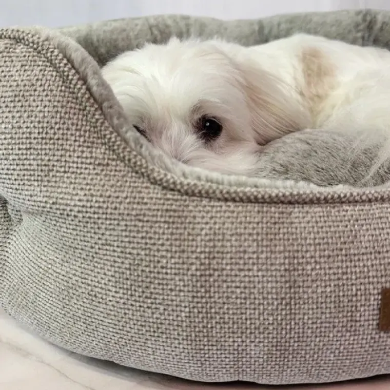 Hundesenge^Ollipet Cocoon hundeseng