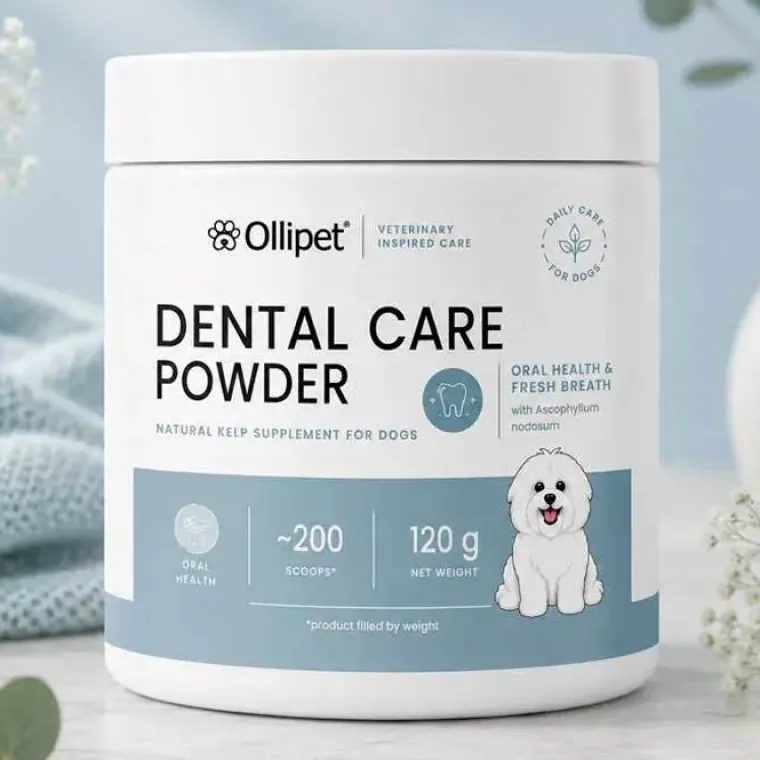Mund-, Øre- Og Øjenpleje^Ollipet Dental Care Powder | 150g