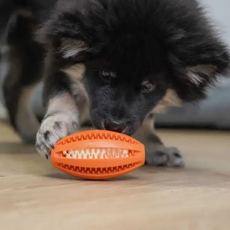 Aktivitetslegetøj Til Hunde|Ollipet Hundelegetøj^Ollipet Dentaplay turbo hundelegetøj