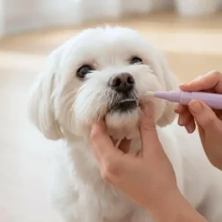 Mund-, Øre- Og Øjenpleje^Ollipet DentaSolo hundetandbørste | M. tandpasta