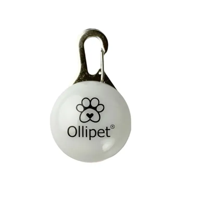 Efterårsklar|Løbeturen^Ollipet DogBlink Safety LED