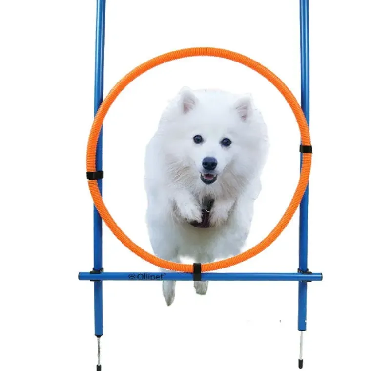 Hundetræning Og Klikker^Ollipet DogFit Agility | Hurdle Jump Ring