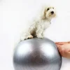 Hundetræning Og Klikker^Ollipet DogFit Air | Balance Ball