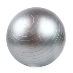 Hundetræning Og Klikker^Ollipet DogFit Air | Balance Ball