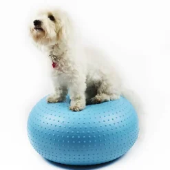 Hundetræning Og Klikker^Ollipet DogFit Air - Balance Donut