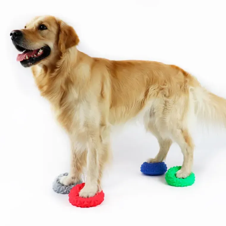 Hundetræning Og Klikker^Ollipet DogFit Air Serie - Balancepude