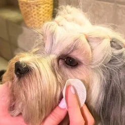Mund-, Øre- Og Øjenpleje^Ollipet Dog tear cleaning pads