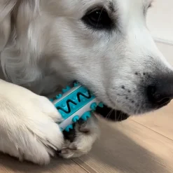 Aktivitetslegetøj Til Hunde|Tandrensende Legetøj^Ollipet dog toothbrush activity stick