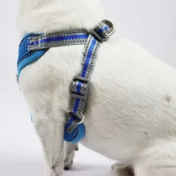 Hundeseler^Ollipet Duomm Air mesh Step-In sele | OUTLET