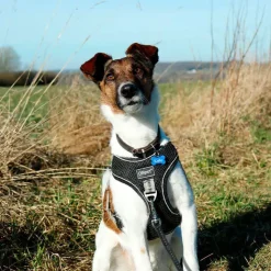 Hundeseler^Ollipet Duomm Air mesh Step-In sele | OUTLET