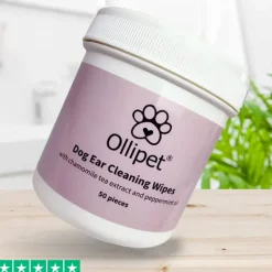 Mund-, Øre- Og Øjenpleje^Ollipet Ear Finger Wipes