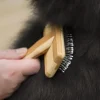 Pelspleje Til Hvalpe|Pelspleje^Ollipet Exclusive karte | små dupper
