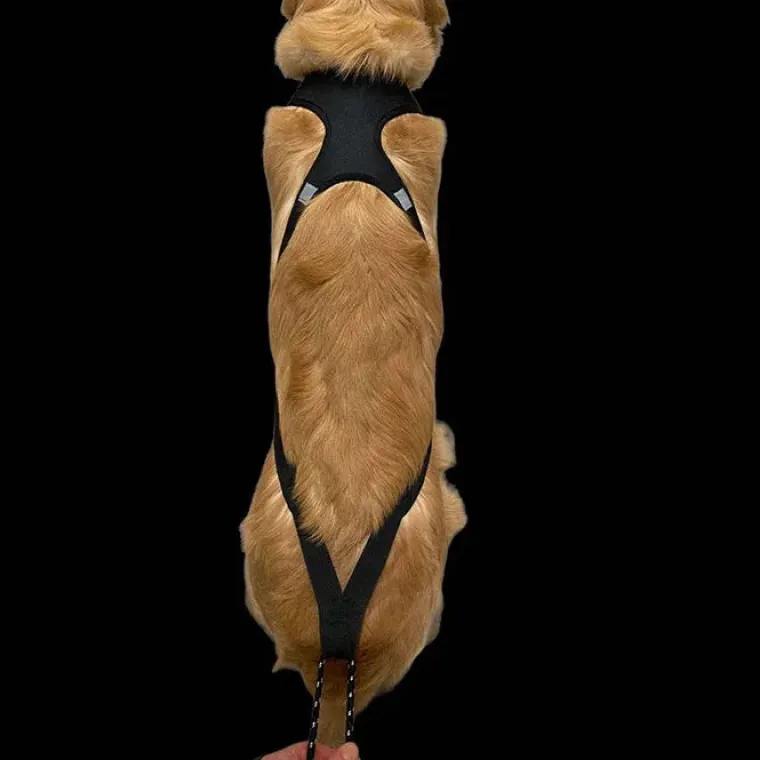 Hundeseler|Løbeturen^Ollipet Fast Runner Træksele