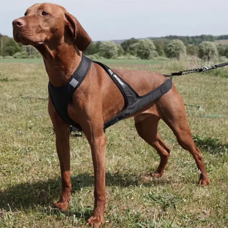 Hundeseler|Løbeturen^Ollipet Fast Runner Træksele
