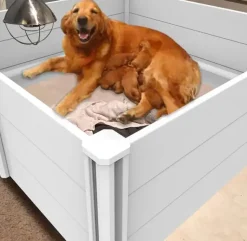 Fødekasse Til Hund|Til Opdrættere^Ollipet fødekasse med rundstokke