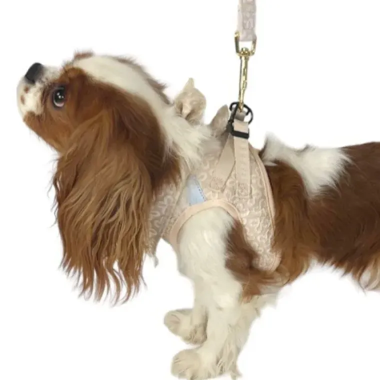 Hundeseler|Hvalpesele Og Hvalpeliner^Ollipet Flora Step-in hundesele